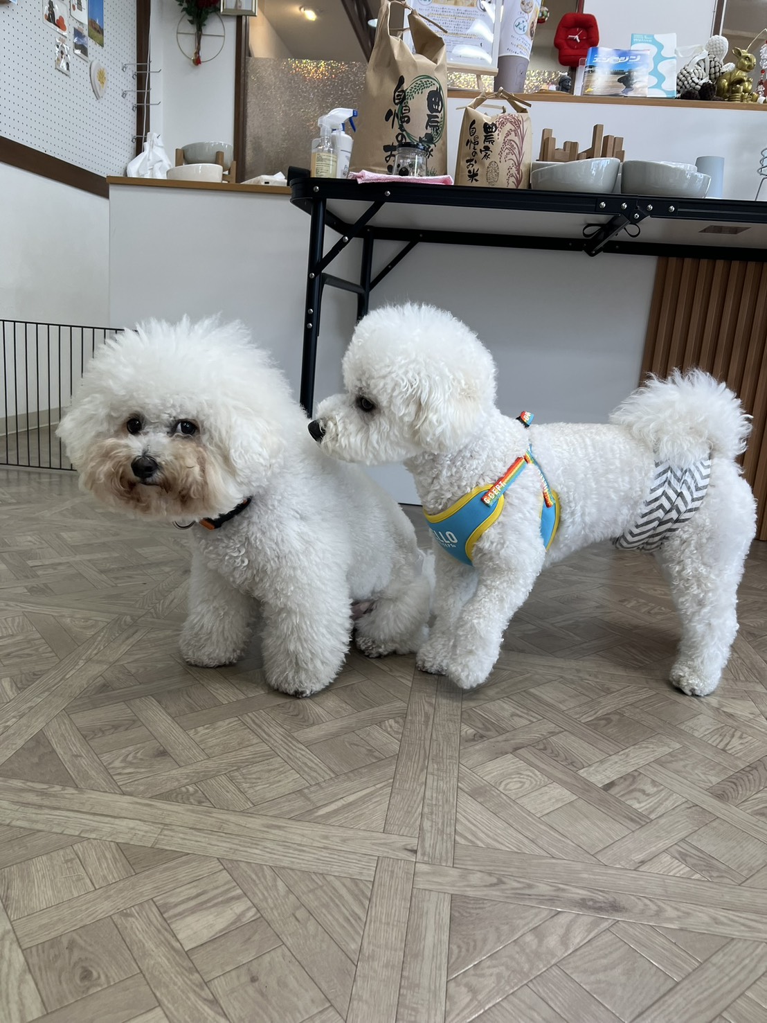 Instagramの投稿